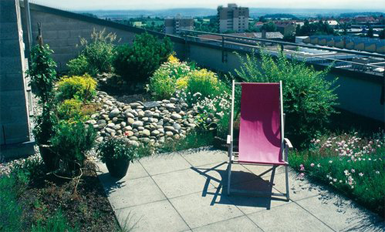 arrange terrace garden