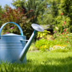 garden watering supplies