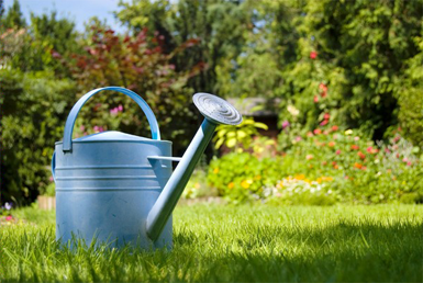 garden watering supplies
